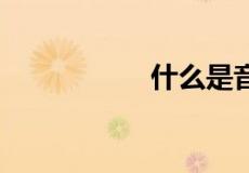 什么是音节 举例说明