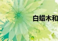 白蜡木和白橡木哪个贵