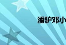 潘驴邓小闲是什么意思