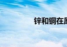 锌和铜在原电池中的反应