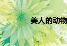 美人的动物打一生肖是什么