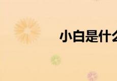 小白是什么意思网络用语