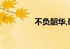 不负韶华,砥砺前行的意思