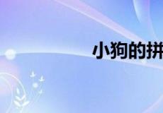 小狗的拼音怎么写的拼