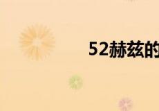 52赫兹的鲸鱼什么意思