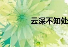 云深不知处暗示了什么意思