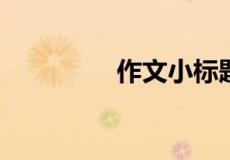 作文小标题的格式是什么