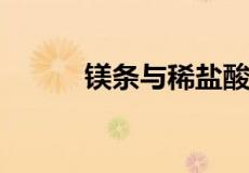 镁条与稀盐酸反应的化学方程式