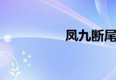 凤九断尾刻字是哪一集