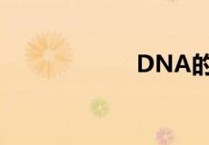 DNA的分子结构式