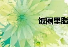 饭圈里脂粉是什么意思
