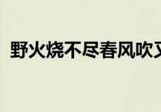 野火烧不尽春风吹又生赞美了小草什么精神