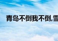 青岛不倒我不倒,雪花不飘我不飘什么意思