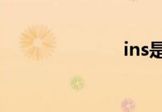 ins是什么软件