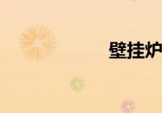 壁挂炉多少钱一台