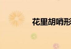 花里胡哨形容人是什么意思