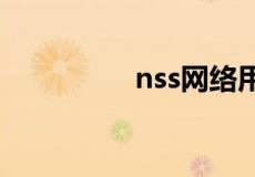 nss网络用语是什么意思