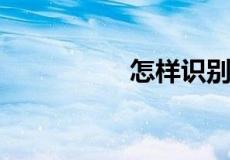 怎样识别珍稀野生兰花