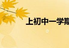 上初中一学期要交多少费用呢?