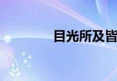 目光所及皆是你是什么意思