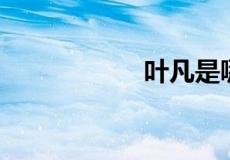 叶凡是哪部小说主角