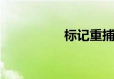 标记重捕法的计算公式