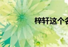 梓轩这个名字有什么寓意
