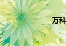 万科是国企吗
