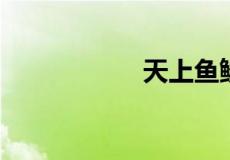 天上鱼鳞斑的下一句
