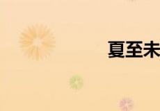 夏至未至什么意思
