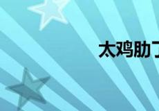 太鸡肋了是什么意思