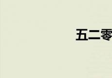 五二零是什么意思