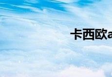 卡西欧alm什么意思