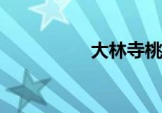 大林寺桃花古诗的意思