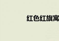 红色红旗寓意象征什么意思