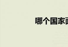 哪个国家面积最大前十名
