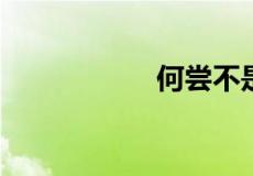 何尝不是是什么意思