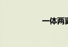 一体两翼指的是什么