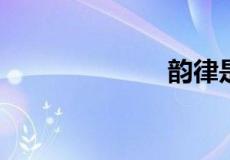 韵律是什么意思
