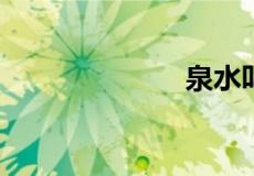 泉水叮咚的意思