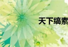 天下缟素的缟素是什么