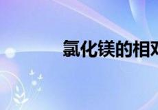 氯化镁的相对分子质量怎么算