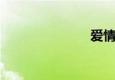 爱情观是什么