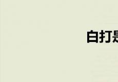 白打是什么武艺