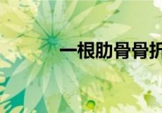 一根肋骨骨折要赔偿9万合理吗
