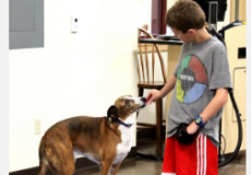 俄勒冈州狗训练计划有助于增加残疾儿童的身体活动